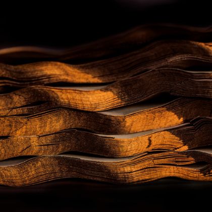 https://www.steinway.com/news/features/utilty/flood